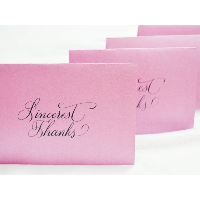 

PROMO!! -Nikko G Pointed Calligraphy Nib