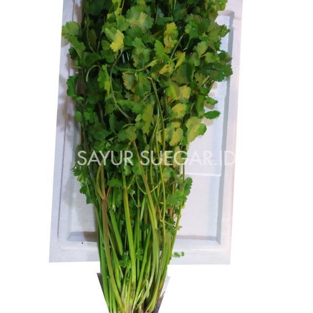 

Wansui/daun ketumbar/100gram