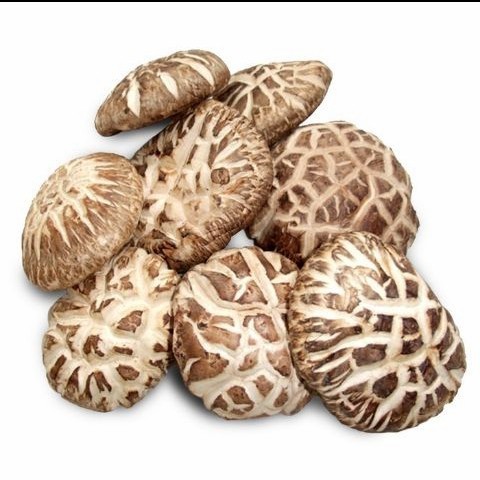 

fresh jamur Shitake per 500 gr