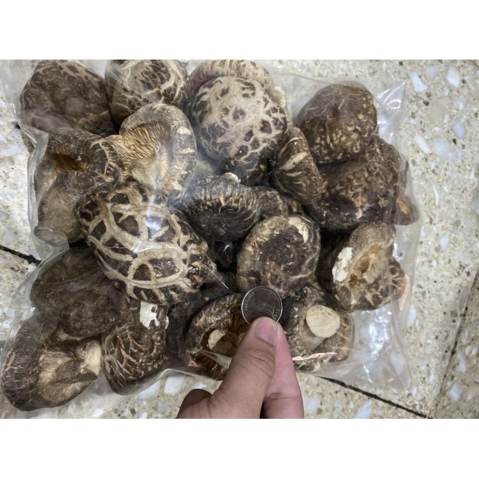 

Jamur Kering Hioko Shitake 100gr - kecil