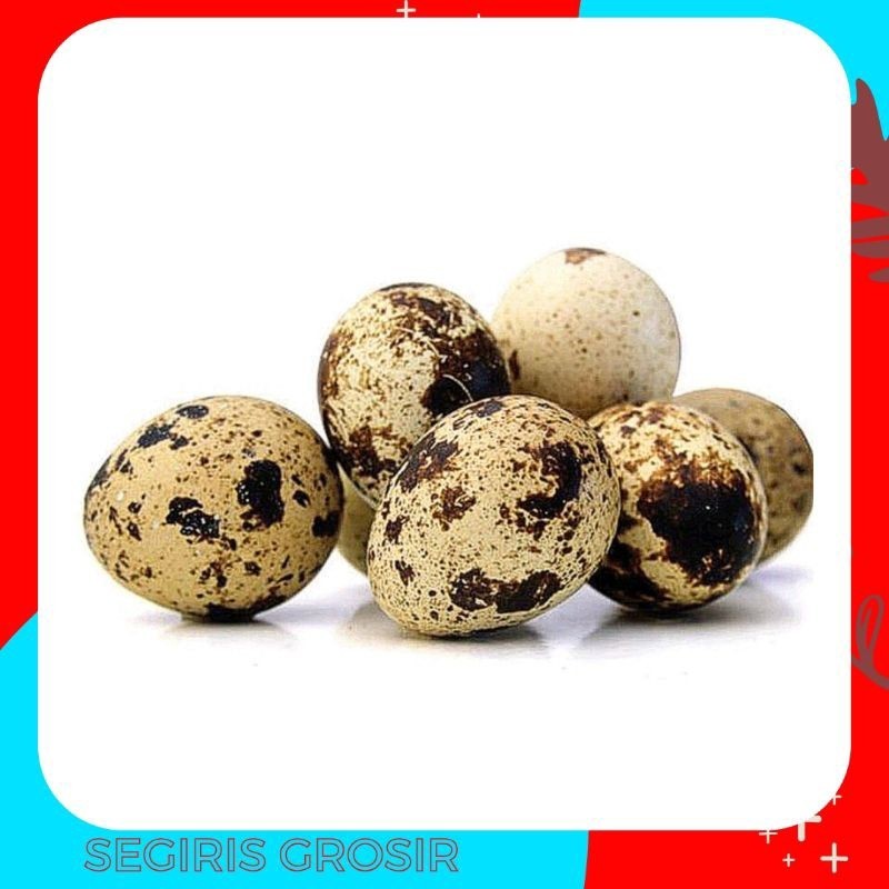 

Telur puyuh 1 rak piring