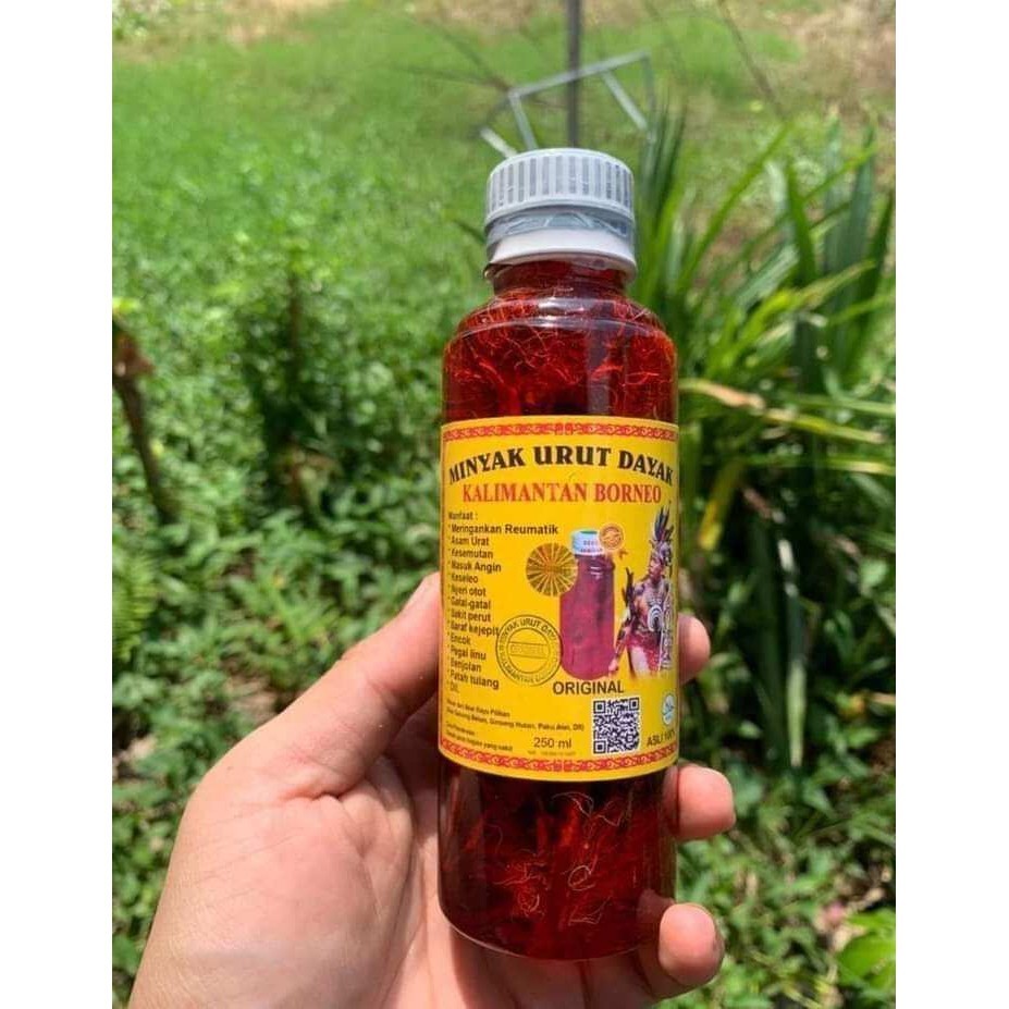 

Minyak Urut Dayak Kalimantan