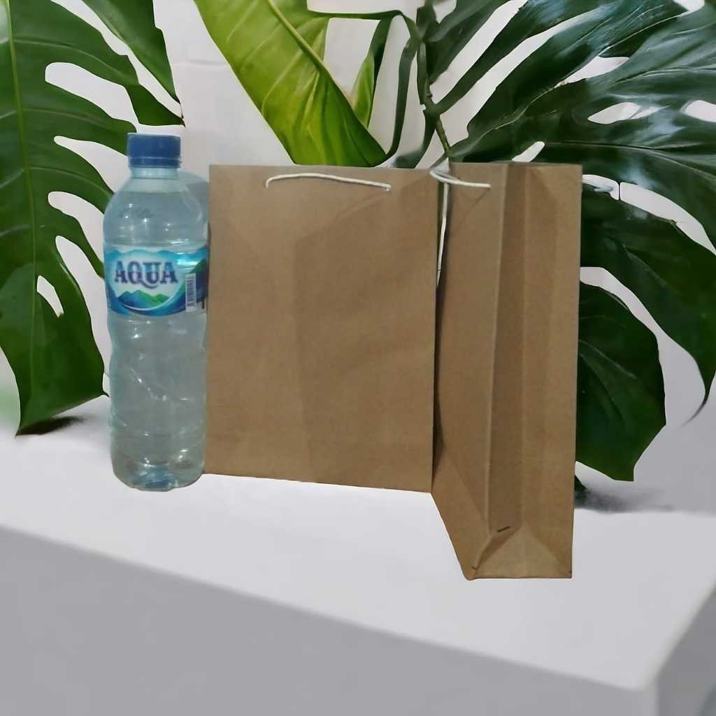 

PAPER BAG TANGGUNG POLOS- PAPERBAG POLOS 16 X 21 X 5 - TAS KERTAS PERNIKAHAN SOUVENIR - PAPER BAG SOUVENIR - TAS KERTAS KADO DM