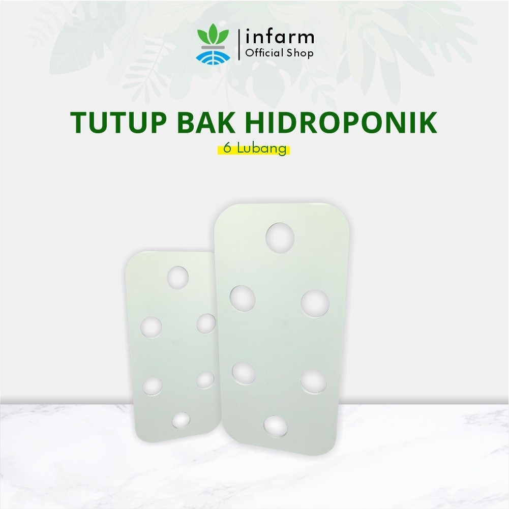 Harga Hidroponik Wick 6 Lubang Terbaru Des 2024 |BigGo Indonesia