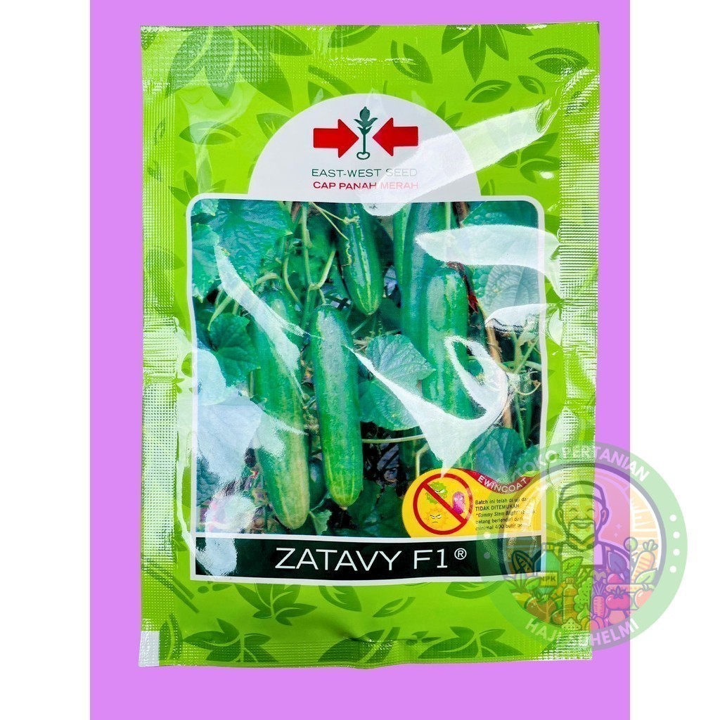 Benih Timun Mentimun Ketimun ZATAVY F1 isi 800 biji