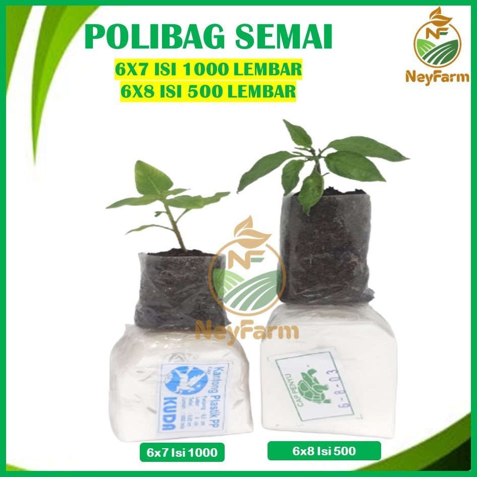 Plastik Polybag Polibag Polibeg Semai Bibit Benih Polibag Kecil PP 6x7 6x8 Isi 1000 Lembar