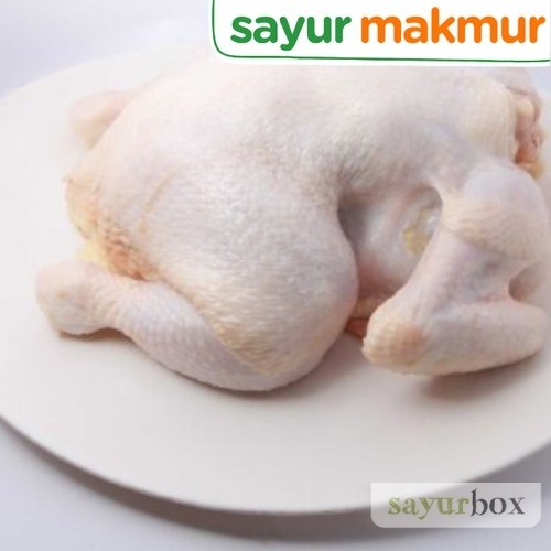 

Ayam Utuh 650 gram Sayurmakmur
