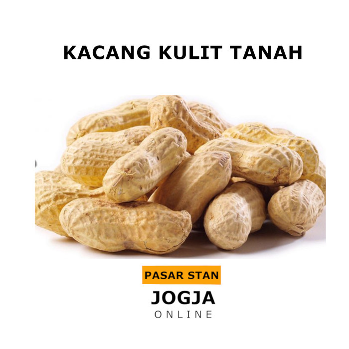 

KACANG TANAH MENTAH 500 GR 1/2 KG