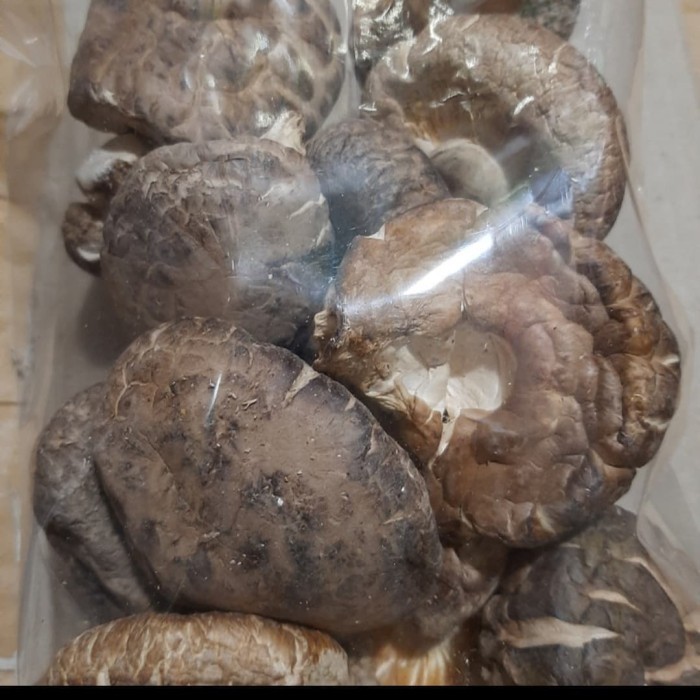 

Jamur Hioko Sitake 4-6cm 100g