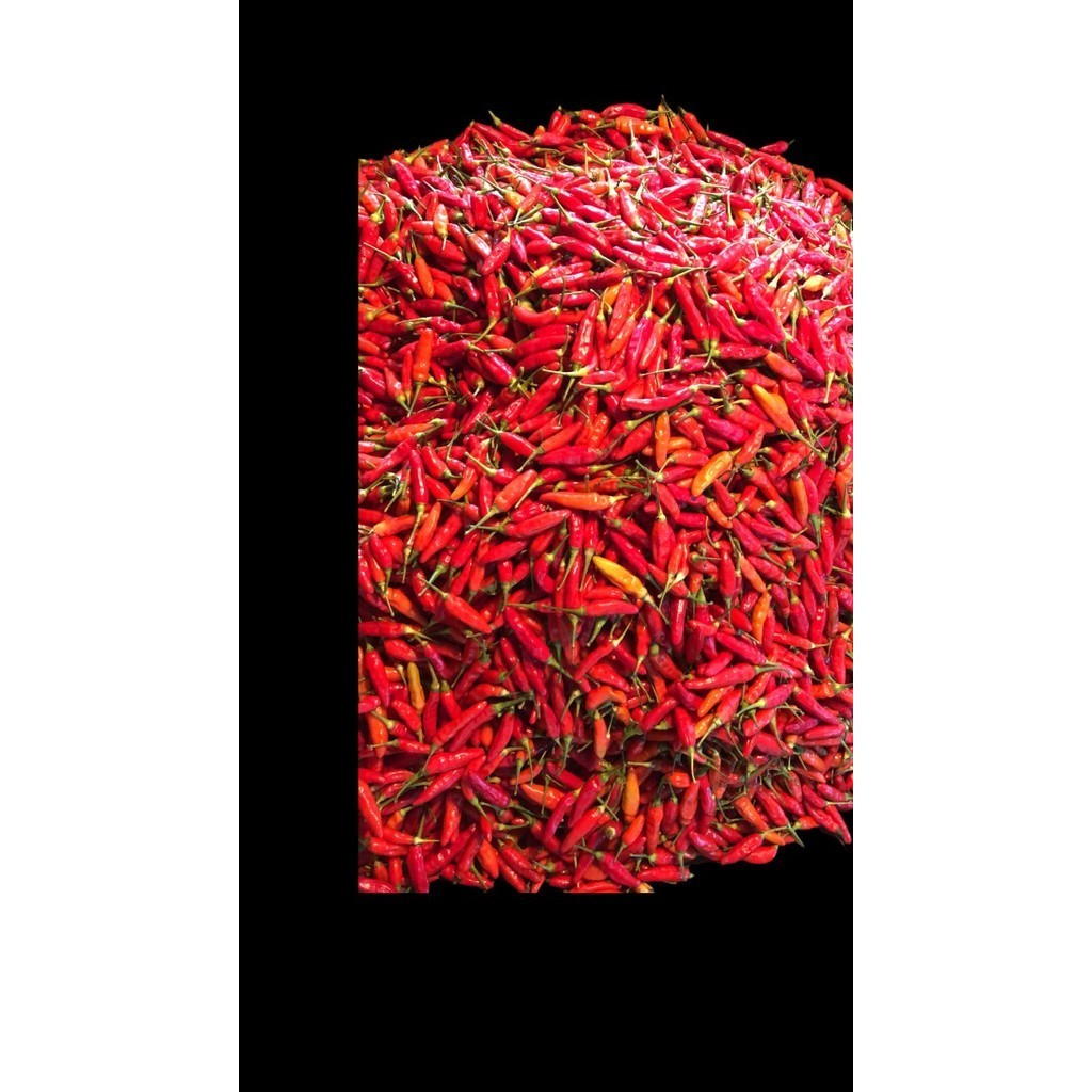 

cabe rawit merah 500gr | 1Kg | Segar - 1 kilogram