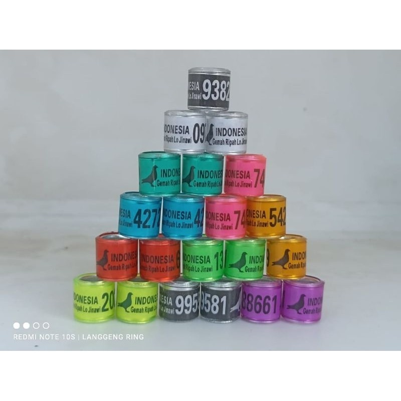 RING BURUNG MERPATI INDONESIA LOH JINAWI