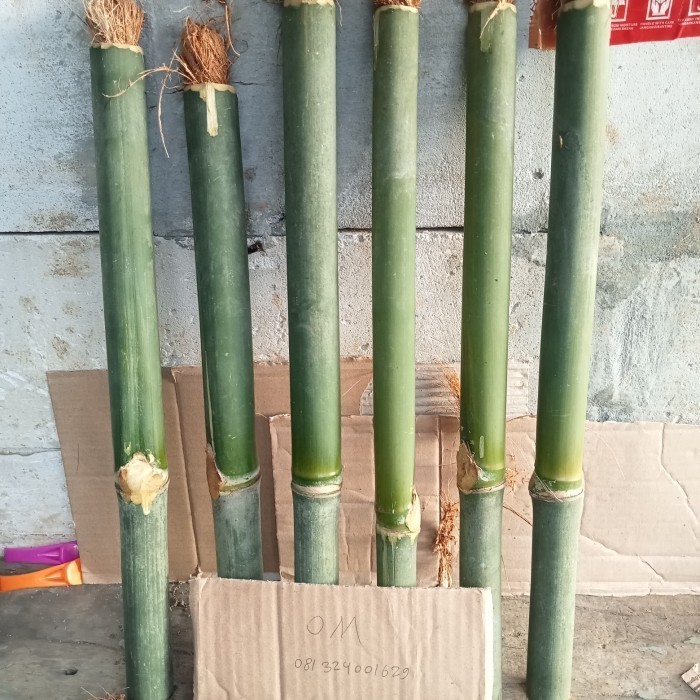 obor bambu tradisional