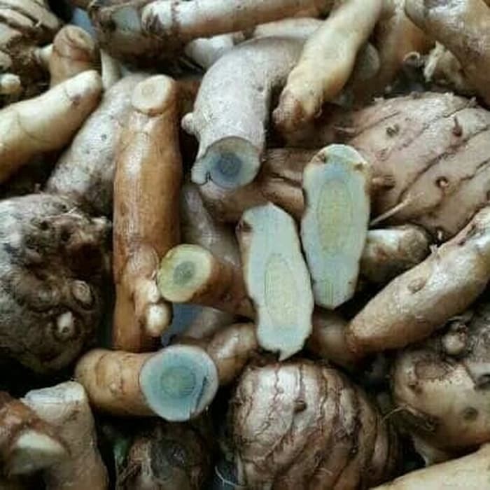 

ready Temu hitam/kunyit hitam/temu ireng murah⠀⠀⠀⠀⠀⠀