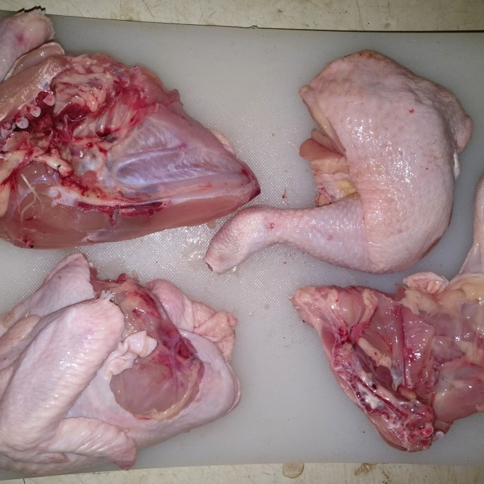 

Ayam broiler,Negeri Per-1 potong