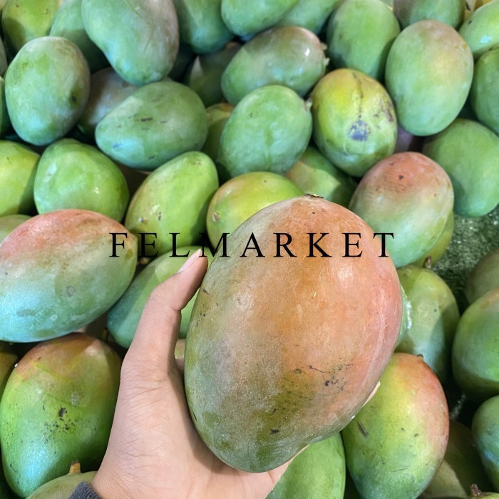 

Mangga Irwin Super / Mangga Brazil / 1 Kg