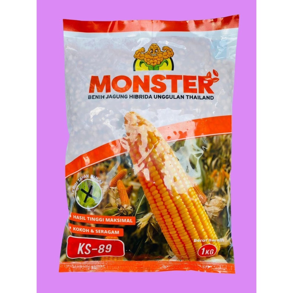 Benih jagung hibrida MONSTER KS-89 isi 1kg dari KS SEED Original Product