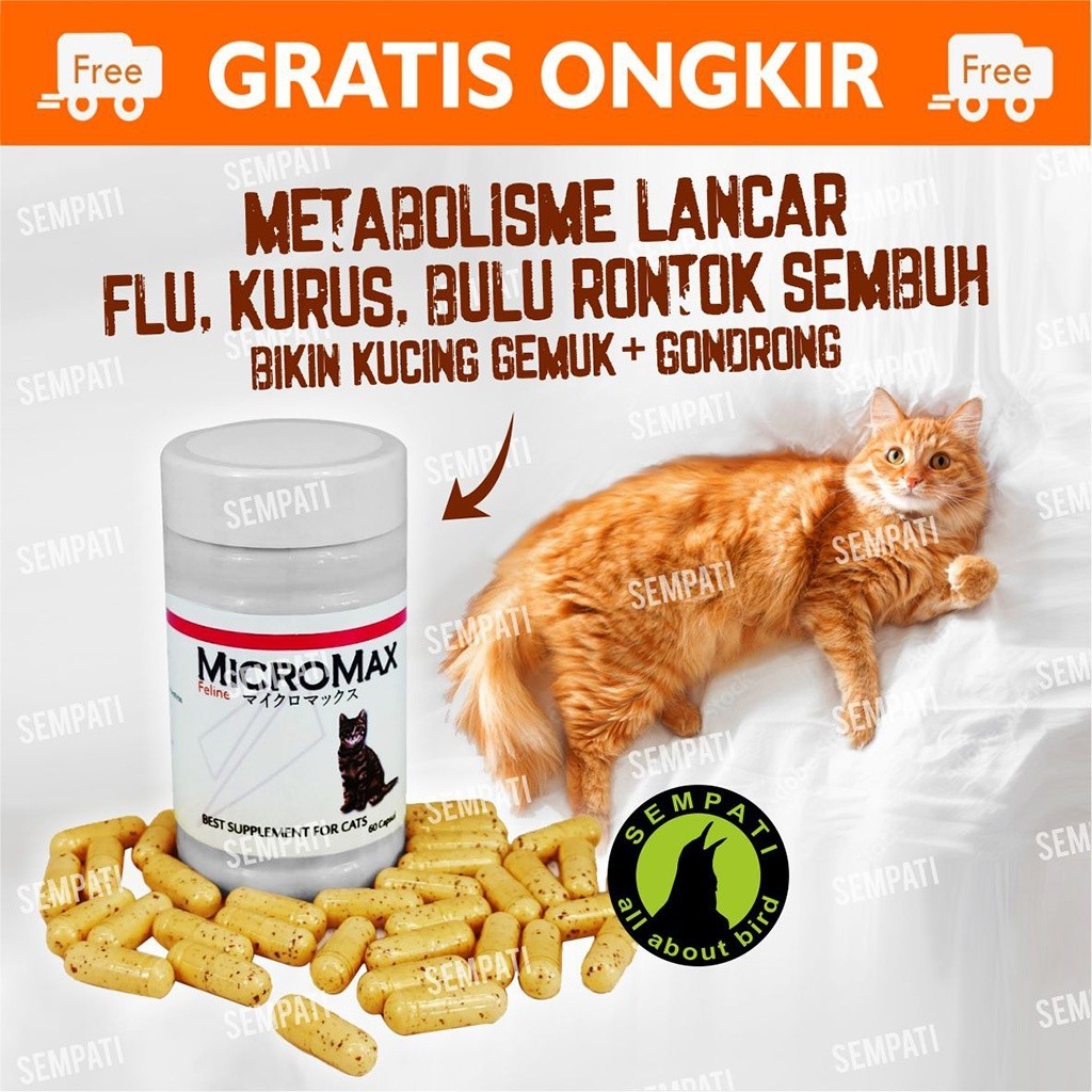 Micromax Felice Vitamin Kucing Micromax Olive Care Kapsul Obat Flu Kucing Vitamin Bulu Kucing Obat Kucing Indukan Anakan Kitten Obat Kucing D2 Kucing Obat Kucing Sakit