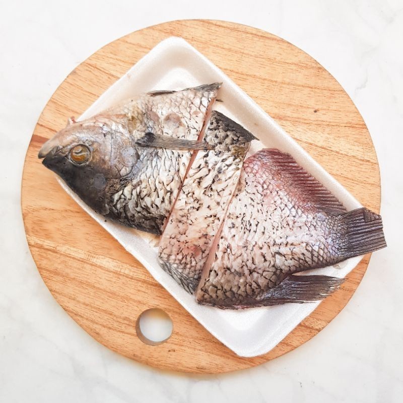 

Syegar Fresh Ikan Gurame 1 ekor