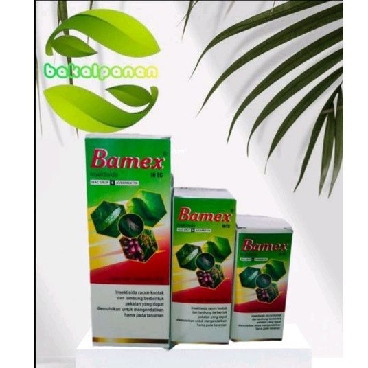 Insektisida obat hama thrips keriting daun Bamex18EC