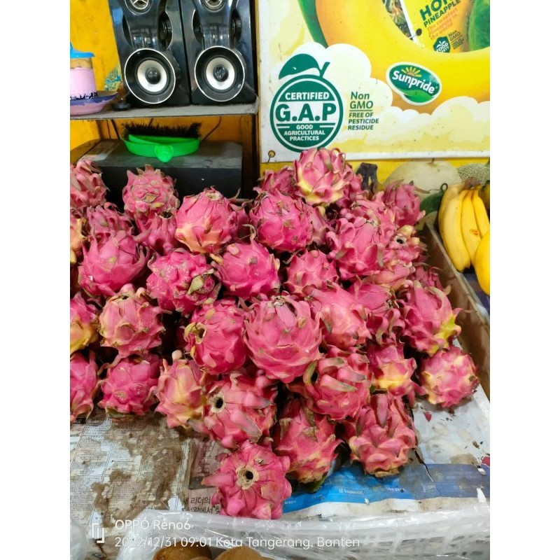 

Buah Naga Merah 500gr