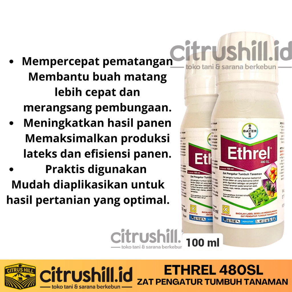 Ethrel 100ml Etefon 480 SL ZPT Zat Pematang Buah Naga Pematangan Pisang