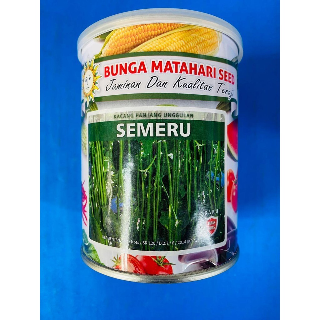 Benih SEMERU kacang panjang unggulan isi 500gr dari BUNGA MATAHARI SEED