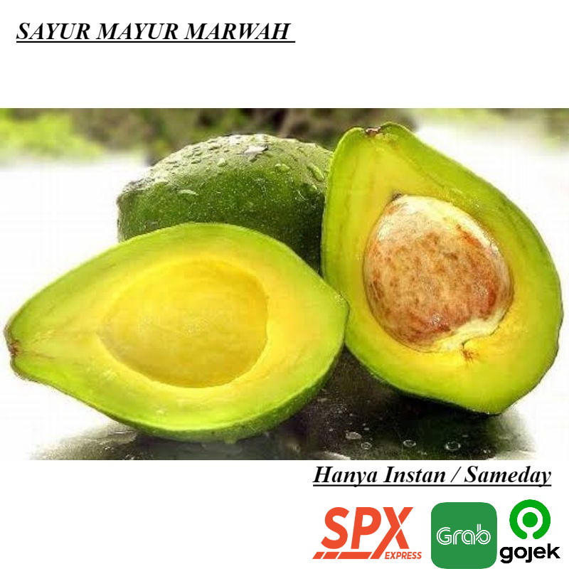 

Grosir Buah Alpukat per1 kg Segar Murah