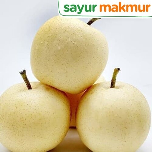 

Pir Century Impor 1 kg Sayurmakmur
