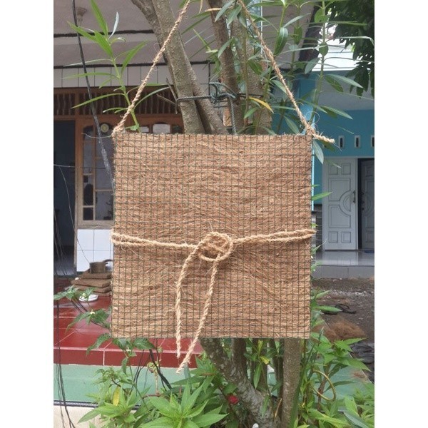 papan media papan media tempel dan tanam anggrek/platycerium