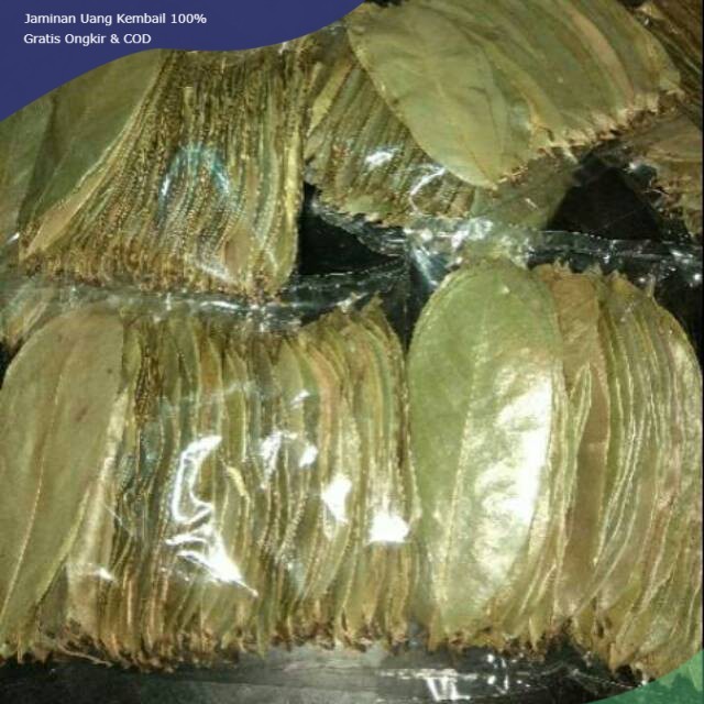 

Daun Sirsak Kering 50 Lembar