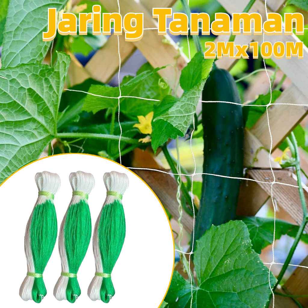 2M X 100M Jaring Merambat Kuat Buah / Buah Merambat Plant Climbing Net Kebun / Jaring Net Rambatan T
