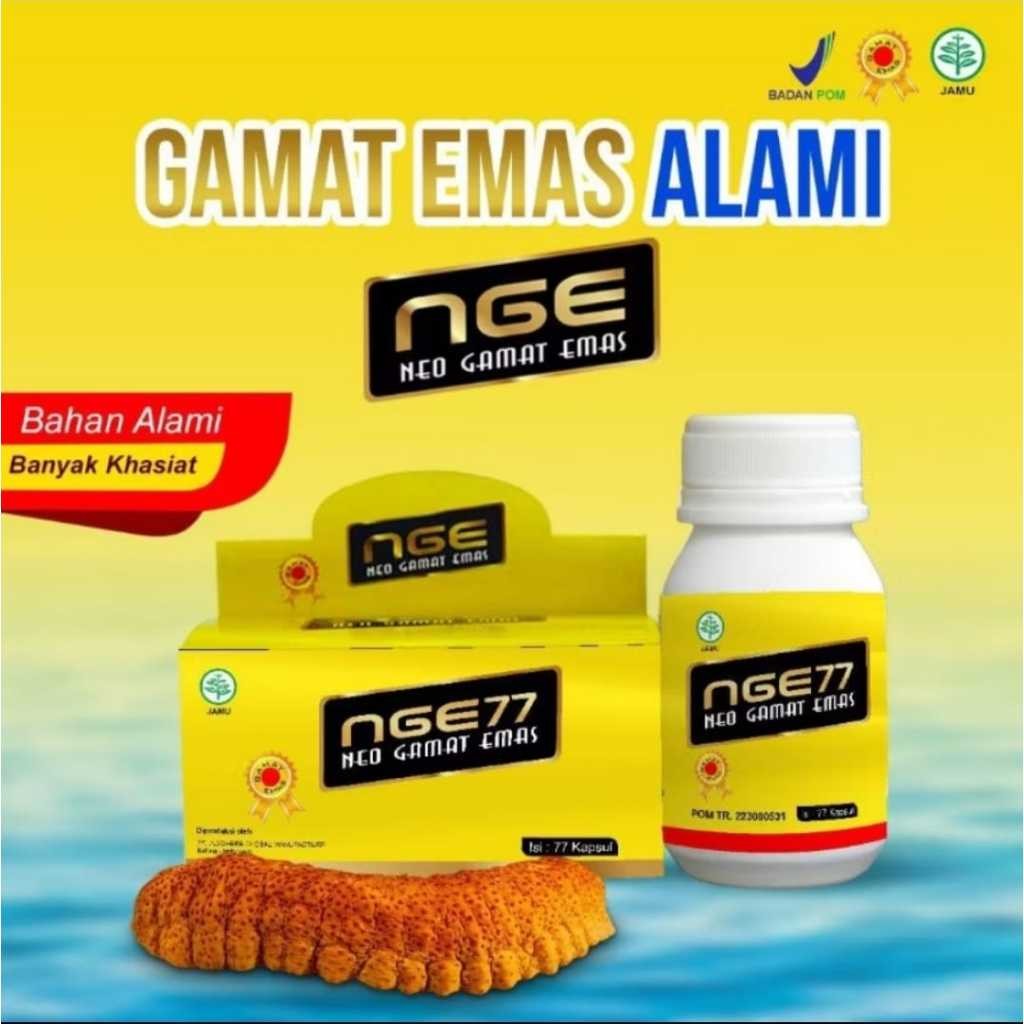 Kapsul Gamat NGE Neo Gamat Emas 77 | Jelly Gamat Emas Kapsul