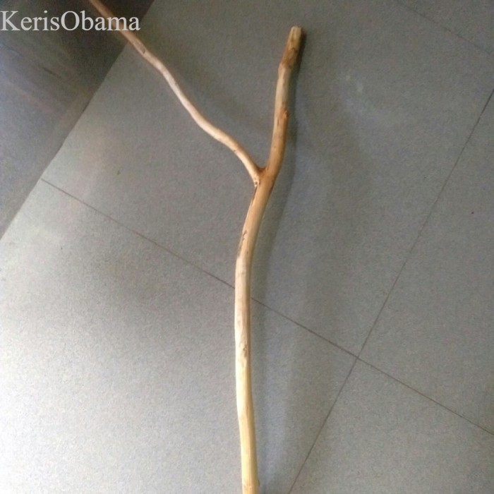 

Ranting kayu jati cabang 50 cm - ranting kayu macrame sudah halus murah