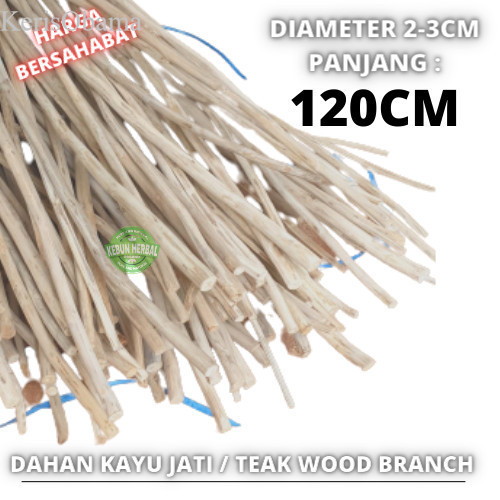 

[ Promo ] Teak Wood Branch 120 Dahan ranting kayu jati bahan macrame murah