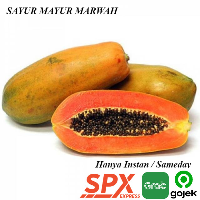 

Grosir Buah Pepaya 1 Buah 1,5 dan 2 kg Segar Manis