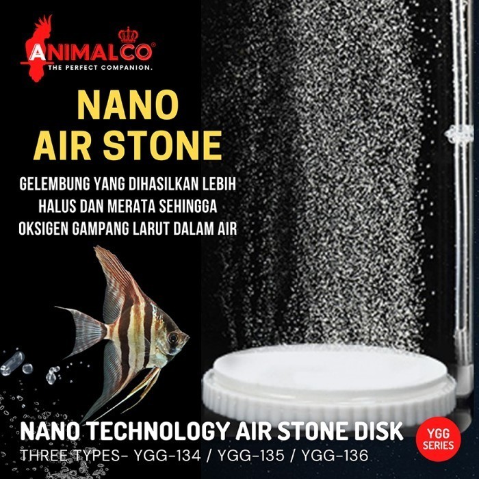 Nano Air Stone Batu Gelembung Udara Halus Airstone Micro Aerator Bulat Pipih Aerasi Oksigen Aquarium