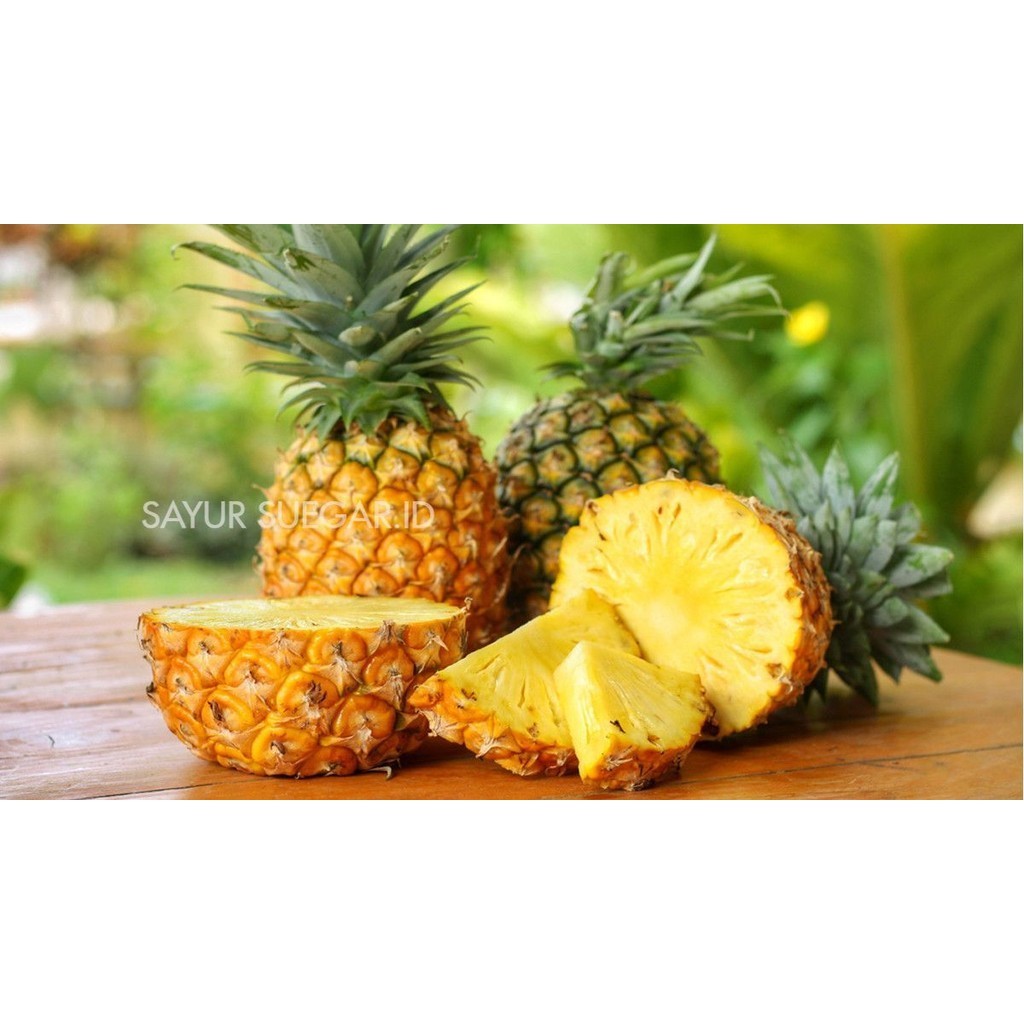 

Nanas madu 1 pcs 1.4 kg - 1.7 kg