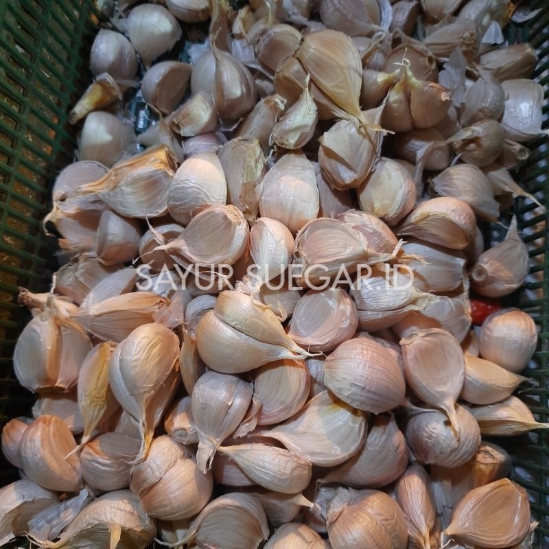 

bawang putih kating 1 kg