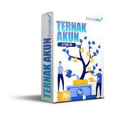 [ Premium Update ] ecourse ternak akun ig DIGITAL MARKETING TOKO ONLINE INTERNET PELUANG USAHA TIKTOK MARKETING COPYWRITING PROMO LIFETIME