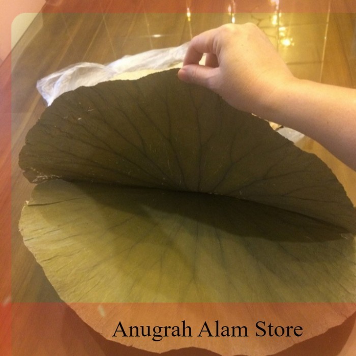 

promo Daun teratai kering~Obat Herbal,~Teh Daun Teratai Kering~100 Gram