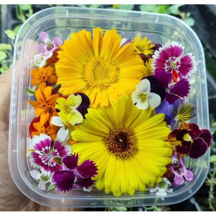 

Mix Edible Flowers Fresh 30 pcs
