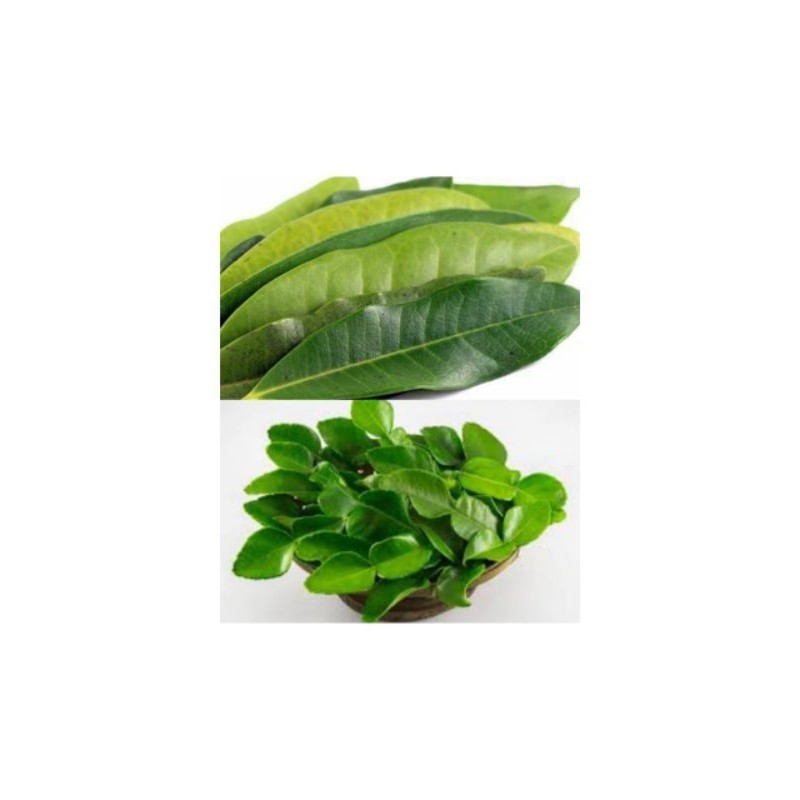 

Daun salam dan daun jeruk