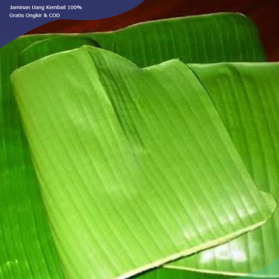 

DAUN PISANG MUDA SEGAR 500 GRAM