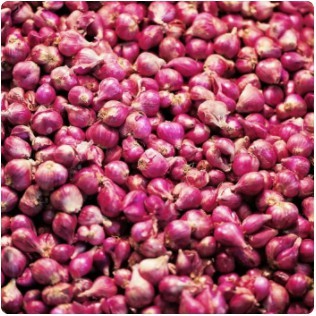 

Bawang Merah Kecil 500 gr