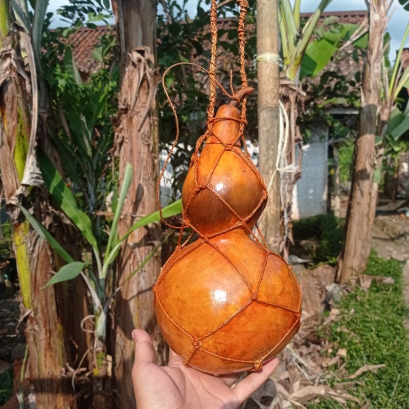 Kempis labu kukuk asli / botol minum labu kukuk