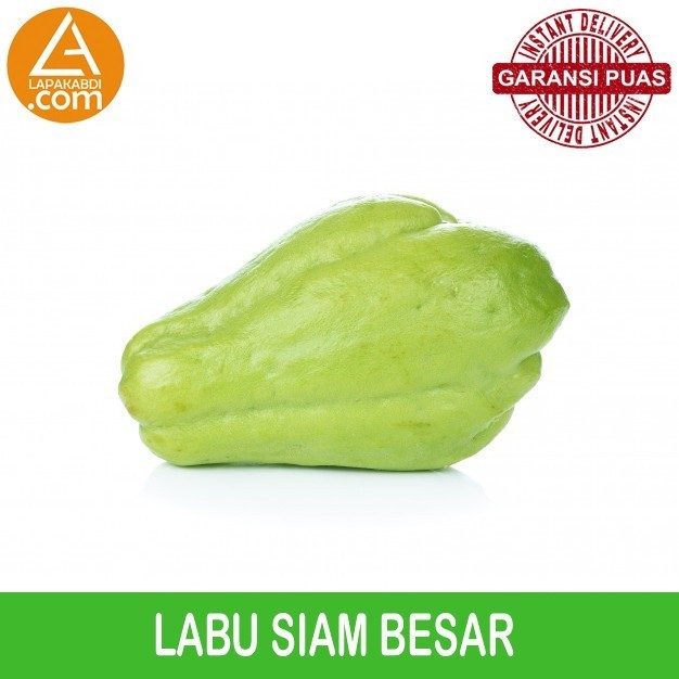 

Labu Siam Besar 500 gr Sayur Segar Garansi Termurah