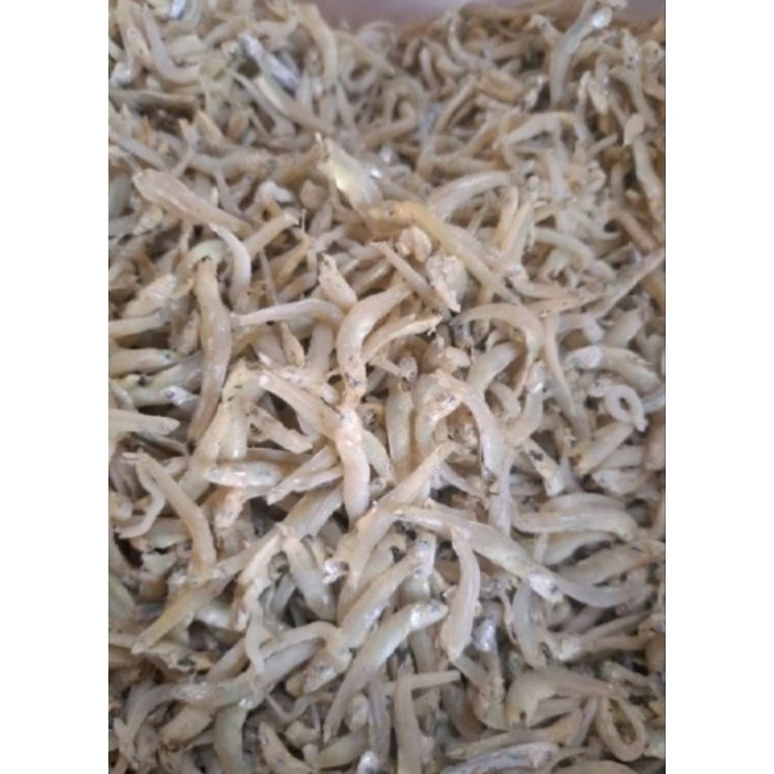 

ikan teri bontio super New