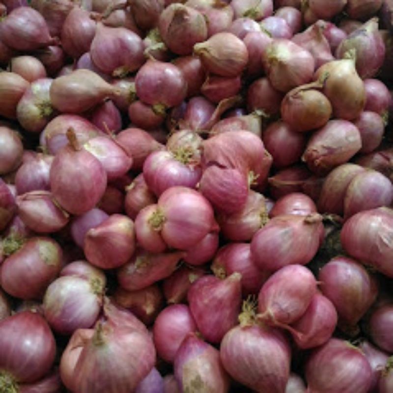 

Bawang Merah 250gr