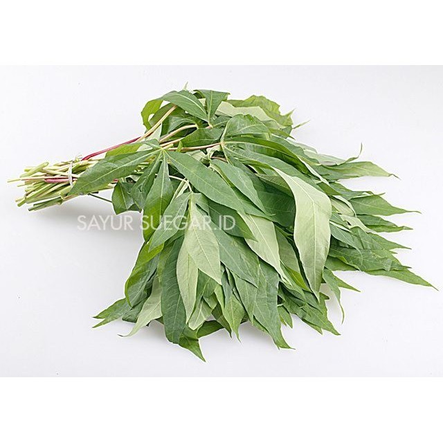 

daun singkong 1 ikat