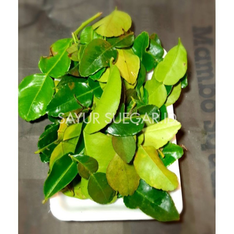 

Daun jeruk 50 gram